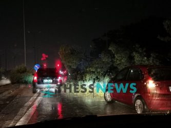 Θεσσαλονίκη: Πτώση δέντρου στα Πράσινα Φανάρια (ΦΩΤΟ)