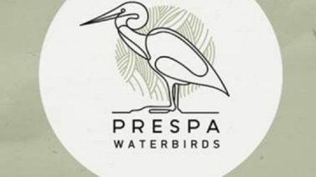 PrespaWings: Ένας χρήσιμος βοηθός Ορνιθοπαρατήρησης μέσα από κινητό τηλέφωνο