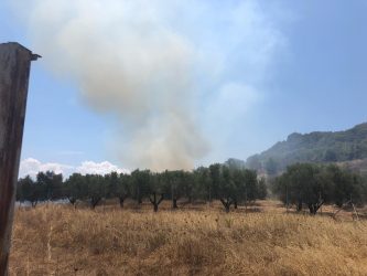 Κρήτη: Εκτός κινδύνου η περιοχή που ξέσπασε νέα φωτιά