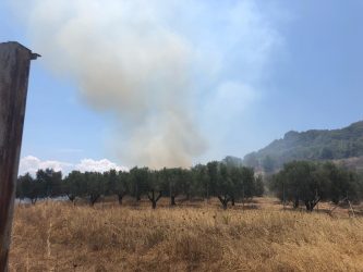 Νέα φωτιά στην Χαλκιδική – Στο δάσος πάνω από τη Βουρβουρού