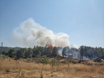 Σε εξέλιξη η φωτιά στην Ελαφόνησο με τις ενισχύσεις ν΄αυξάνονται