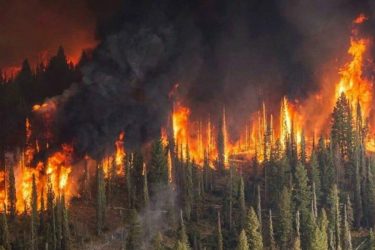 Γαλλία: Στη μάχη με τις φλόγες περισσότεροι από 1000 πυροσβέστες