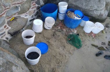 Καβάλα: Σύλληψη για παράνομη αλιεία οστράκων