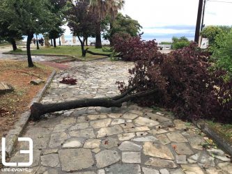 Κλιμάκιο του ΣΥΡΙΖΑ στις πληγείσες περιοχές