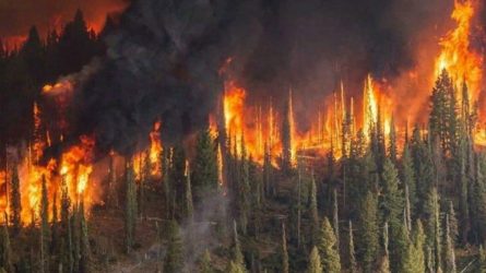 Υψηλός κίνδυνος πυρκαγιάς αύριο σε Θεσσαλονίκη και Χαλκιδική