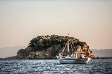 Πάνω από 21 τόνοι ψάρια κατασχέθηκαν στην Ελλάδα