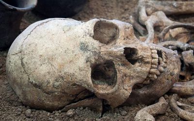 Στην Ελλάδα το αρχαιότερο δείγμα «Homo Sapiens» στην Ευρασία