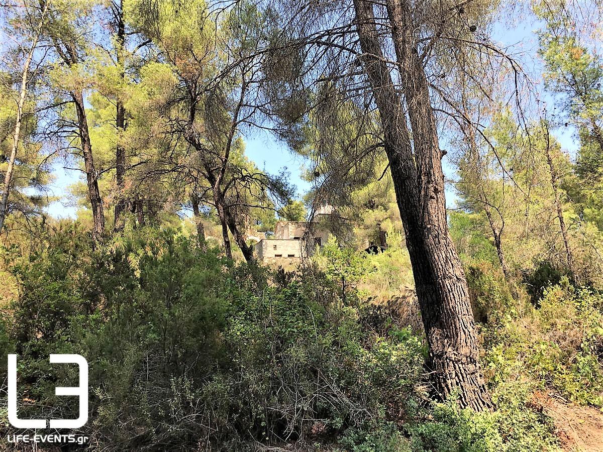 paralia fava vourvourou halkidiki xalkidiki kalokairi ellada diakopes tourismos thalassa mpanio ilios