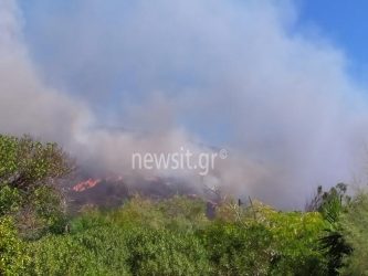 Αυξάνονται οι δυνάμεις της Πυροσβεστικής στην Ελαφόνησο