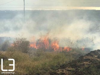 Φωτιά στην Καρδία σε χωράφια δίπλα σε σπίτια (ΦΩΤΟ & ΒΙΝΤΕΟ)