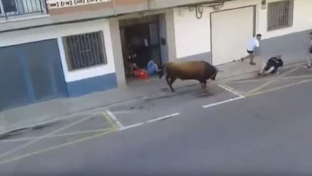 Ταύρος σκότωσε άνδρα στη διάρκεια φεστιβάλ στην Ισπανία (ΒΙΝΤΕΟ)