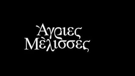 Πώς θα ξεκινήσουν τη νέα σεζόν οι Αγριες Μέλισσες;
