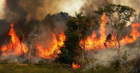 Νέες πυρκαγιές μαίνονται στον Αμαζόνιο