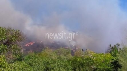 Ελαφόνησος: Εξακολουθεί να καίει η φωτιά
