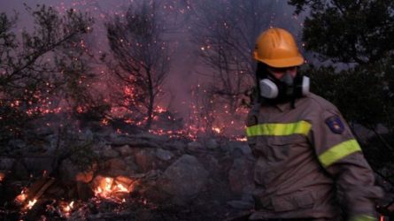 Νέες πυρκαγιές σε Μεσσηνία και Άρτα , μάχη με τις φλόγες σε πολλαπλά μέτωπα