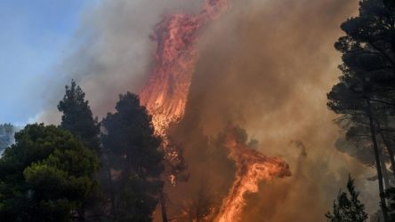 Φωτιά στην Εύβοια: Συγκρατημένη αισιοδοξία, κρίσιμες οι επόμενες ώρες