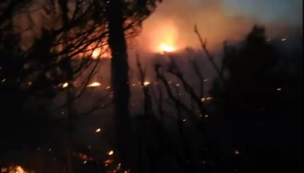 Συνεχίζεται η τεράστια φωτιά στην Σάμο- Εκκένωση ξενοδοχείων (VIDEO)