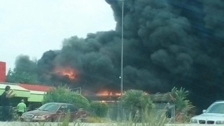 Μάχη με την πυρκαγιά και στην Εύβοια – Υπό έλεγχο η φωτιά στη Ρόδο