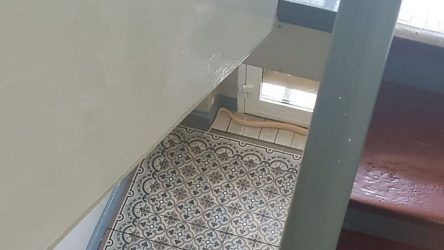 Γερμανία: Παραμένει άφαντη η δηλητηριώδης κόμπρα – στο πόδι όλη η πόλη (BINTEO)