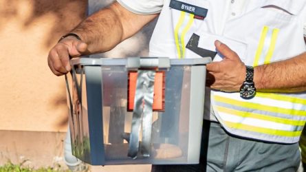 Γερμανία: Τώρα μπορούν να κοιμηθούν ήσυχοι, βρέθηκε η κόμπρα