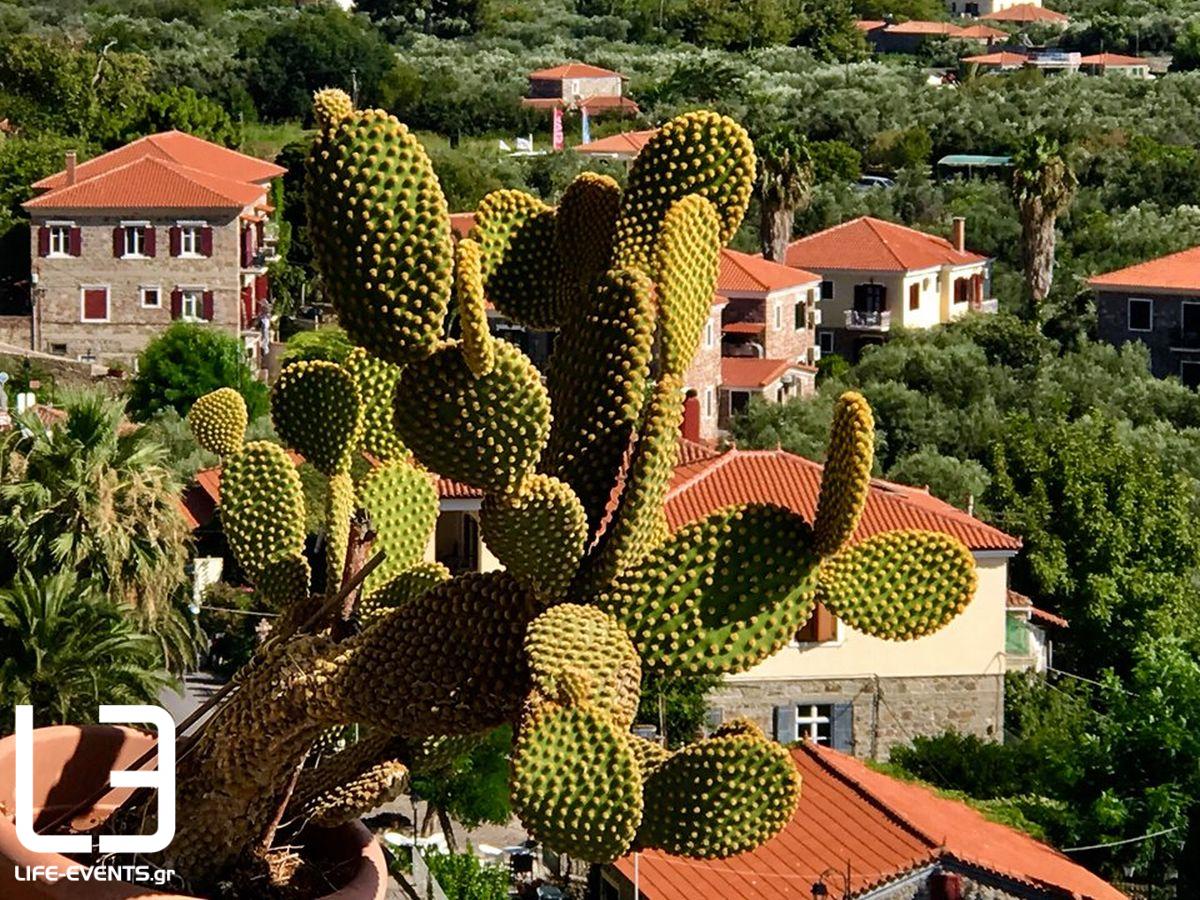 Μόλυβος Μήθυμνα Λέσβος Μυτιλήνη Ελλάδα διακοπές καλοκαίρι θάλασσα 