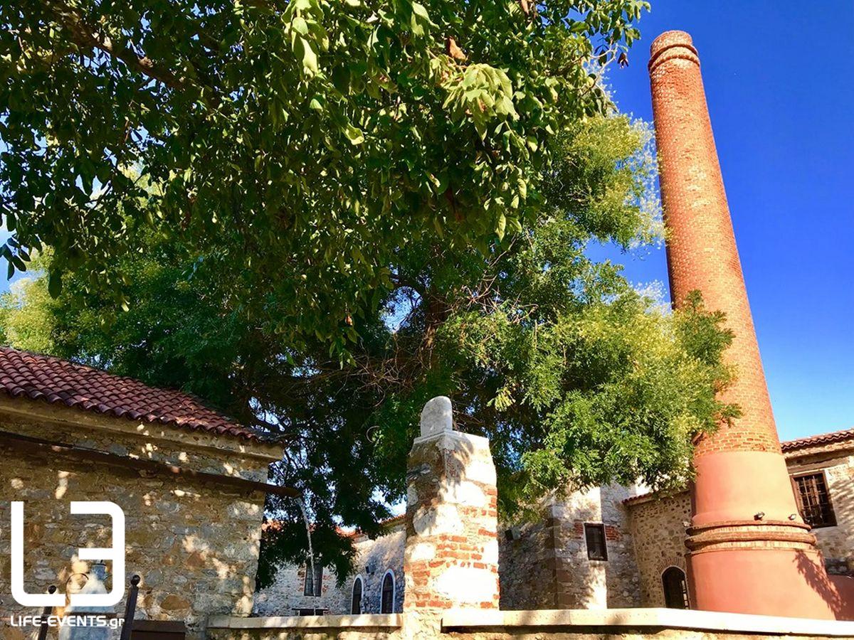 elaiolado mouseio elaioladou lesvos ladi