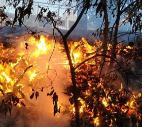 Καταστροφικές πυρκαγιές και πάλι στις ΗΠΑ