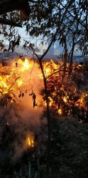 Έληξε η πυρκαγιά στην Λαγκαδά – Κάηκαν 25 στρέμματα