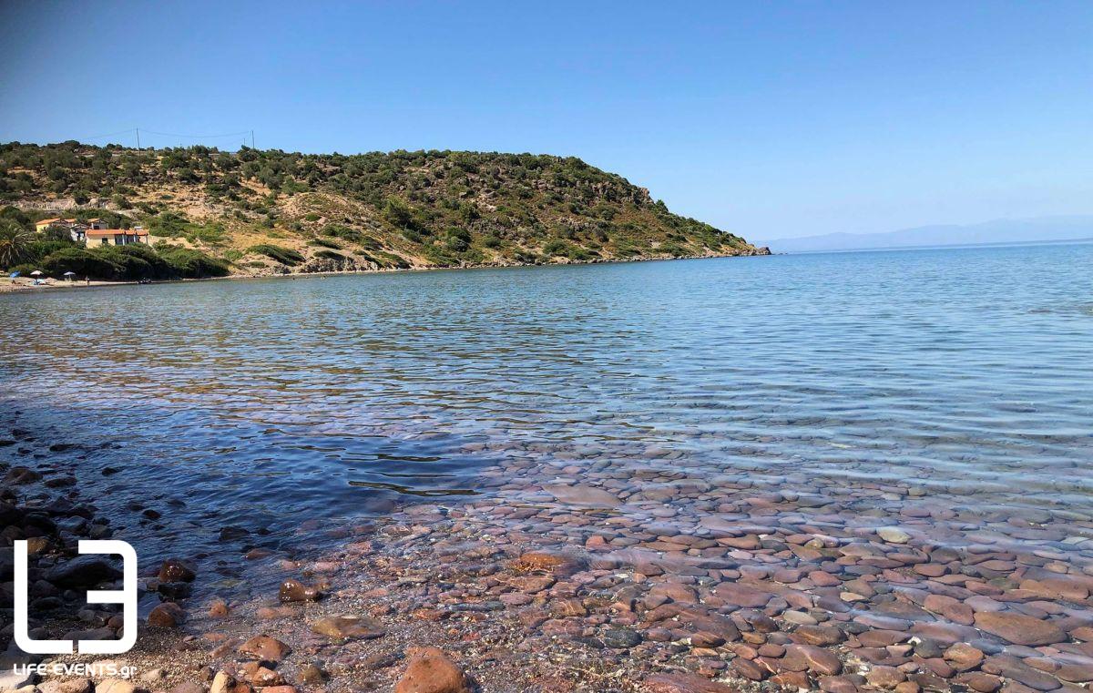 thalassa paralia