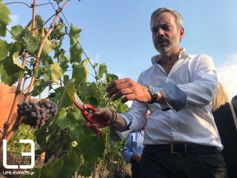 Τρύγος στους δημοτικούς αμπελώνες Θεσσαλονίκης παρουσία του Κ. Ζέρβα (ΒΙΝΤΕΟ & ΦΩΤΟ)