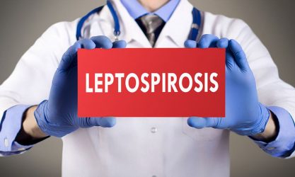 Λεπτοσπείρωση: Γιατί είναι επικίνδυνη, που οφείλεται και τι πρέπει να κάνετε