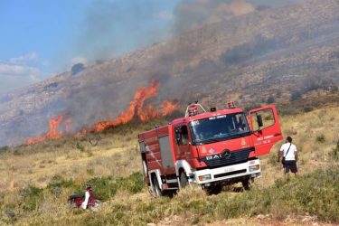 Χαλκιδική: Πυρκαγιά ξέσπασε σε δασική έκταση – Επιχειρούν δύο καναντέρ
