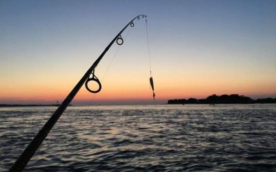 Το ερασιτεχνικό ψάρεμα βλάπτει… το περιβάλλον!