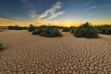Κλιματική αλλαγή: Καθιστά 20 φορές πιο πιθανές τις σοβαρές καλοκαιρινές ξηρασίες