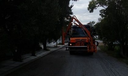 Ωραιόκαστρο: Κλαδεύουν τα δέντρα για την ασφάλεια των οδηγών