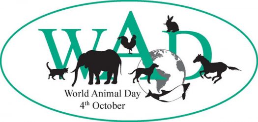 4η Οκτωβρίου: Παγκόσμια Ημέρα των Ζώων