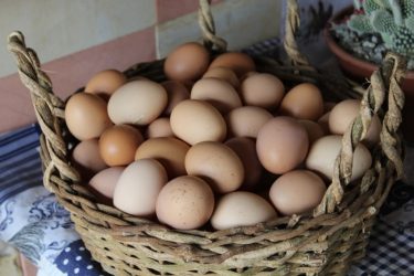 Ωραιόκαστρο: Πρώτο Φεστιβάλ Αβγού
