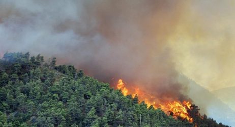 Κεφαλονιά: Φωτιά στην περιοχή Κουνόπετρα Ληξουρίου