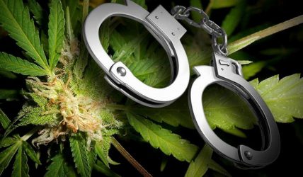 64χρονη καλλιεργούσε κάνναβη στην Καλαμαριά