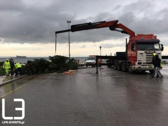 Στην Πλατεία Αριστοτέλους το χριστουγεννιάτικο δέντρο της Θεσσαλονίκης (ΦΩΤΟ)