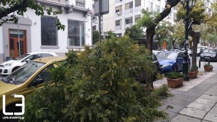 Οι ισχυροί άνεμοι έριξαν δέντρα στην Θεσσαλονίκη