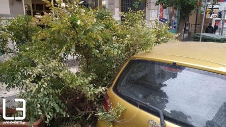 Πτώση δέντρου στο κέντρο της Θεσσαλονίκης (ΦΩΤΟ)