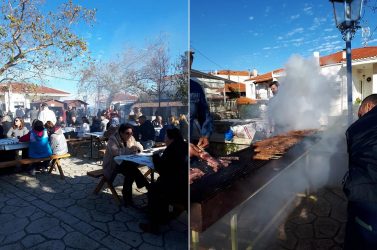 Γουρουνοχαρά στην Αφυτο Χαλκιδικής (ΦΩΤΟ)