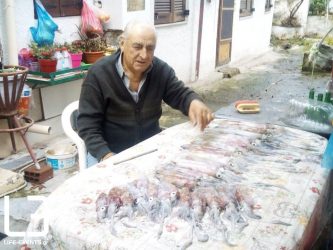 Ψαράς έπιασε 20 κιλά καλαμάρια στο Θερμαϊκό! (ΦΩΤΟ)