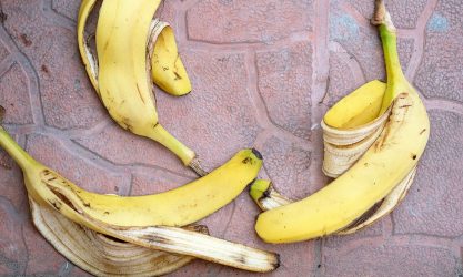 Οι μπανάνες που αγόρασαν έκρυβαν ένα πολύ επικίνδυνο έντομο (ΦΩΤΟ)