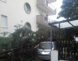 Δέντρα καταπλάκωσαν αυτοκίνητα στο δήμο Παύλου Μελά στη Θεσσαλονίκη (ΦΩΤΟ)