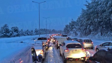 Συνδικαλιστής ΕΛ.ΑΣ.: «Εύκολα θύματα οι αστυνομικοί»