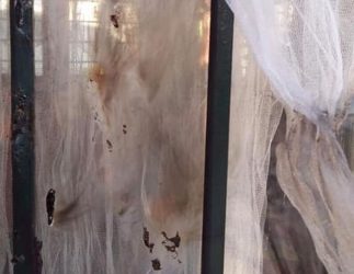 Σημαντικές φθορές στο νηπιαγωγείο Μελισσοχωρίου (ΦΩΤΟ)