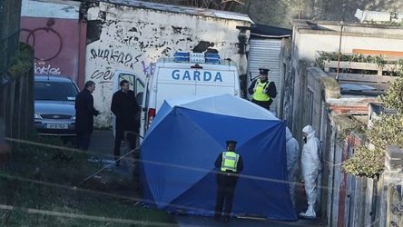 Δουβλίνο: Βρέθηκαν και άλλα ανθρώπινα μέλη
