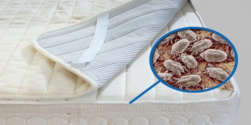 Πείτε αντίο στα ακάρεα που κάνουν βόλτα στο στρώμα σας